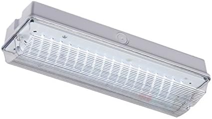 Emergency Lighting Testing